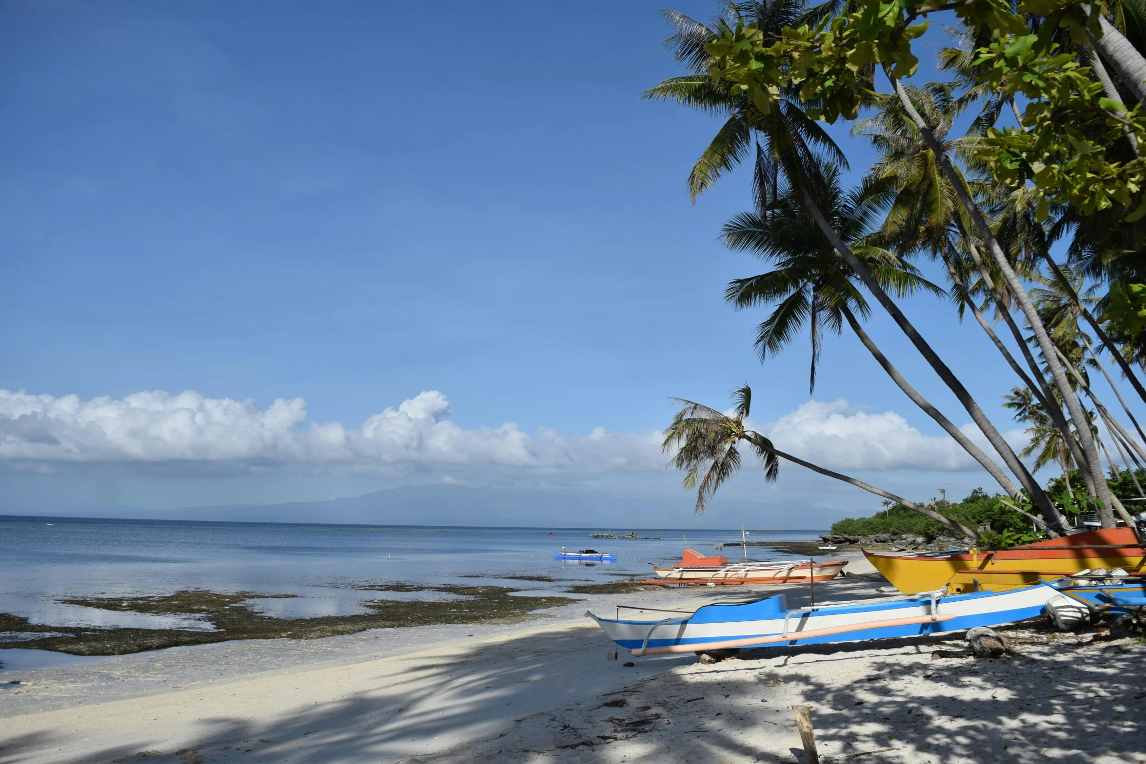 a group of boats sitting on top of a sandy beach, hurufiyya, coconut trees, clear blue skies, ramil sunga, a cozy