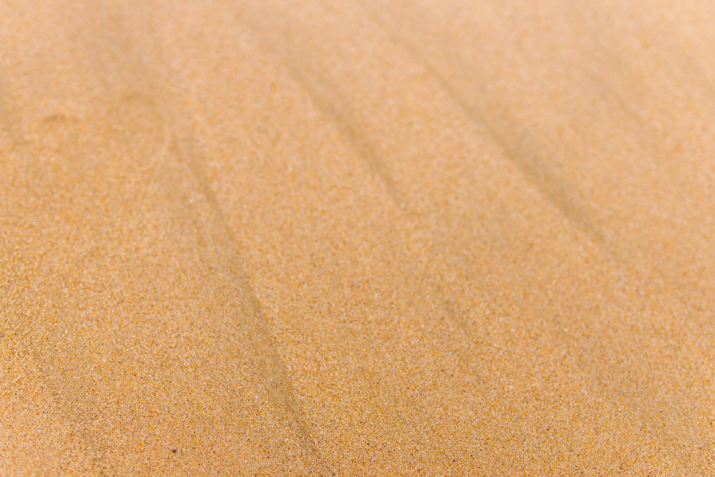 a teddy bear sitting on top of a sandy beach, a stipple, inspired by Andreas Gursky, unsplash, detail shot, ochre, on dune, medium close - up