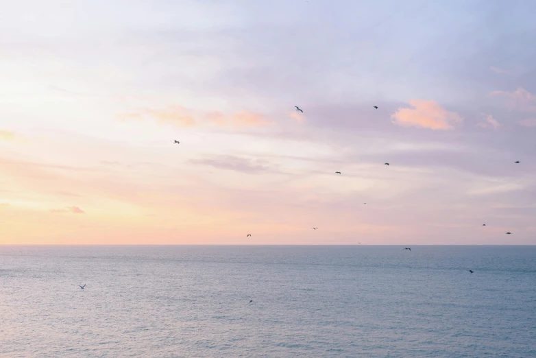 a flock of birds flying over a body of water, by Carey Morris, pexels contest winner, minimalism, pastel sunset, view of the ocean, john pawson, late summer evening