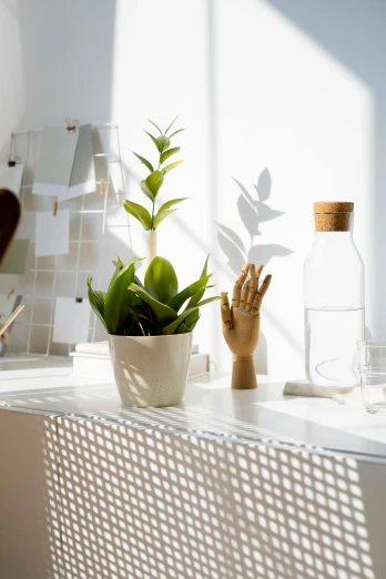 a kitchen counter with a potted plant on top of it, inspired by Constantin Hansen, trending on pexels, light and space, studying in a brightly lit room, a paper cutout garden, bathed in light, hand on table