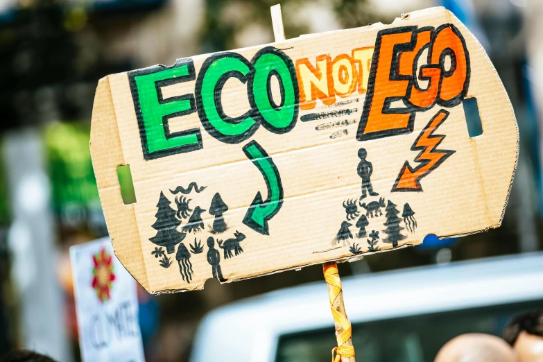 a close up of a person holding a sign, a cartoon, trending on pexels, ecological art, made of bamboo, eclectic, placards, easy go