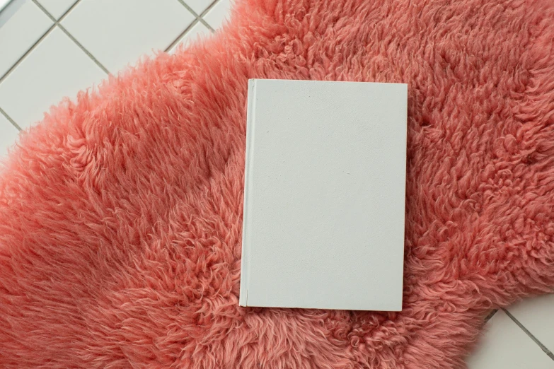 a white box sitting on top of a pink rug, a book, covered in matted fur, no - text no - logo, thumbnail