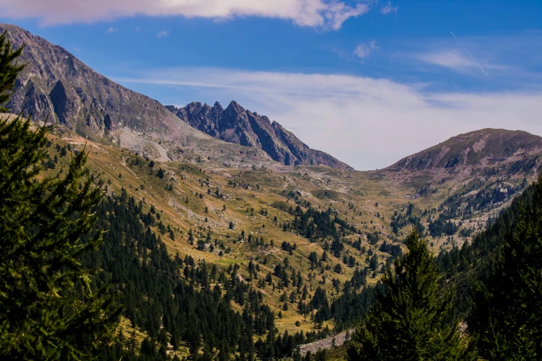 a view of the mountains from the top of a hill, by Cedric Peyravernay, pexels contest winner, les nabis, spruce trees on the sides, panoramic, geology, high quality image”