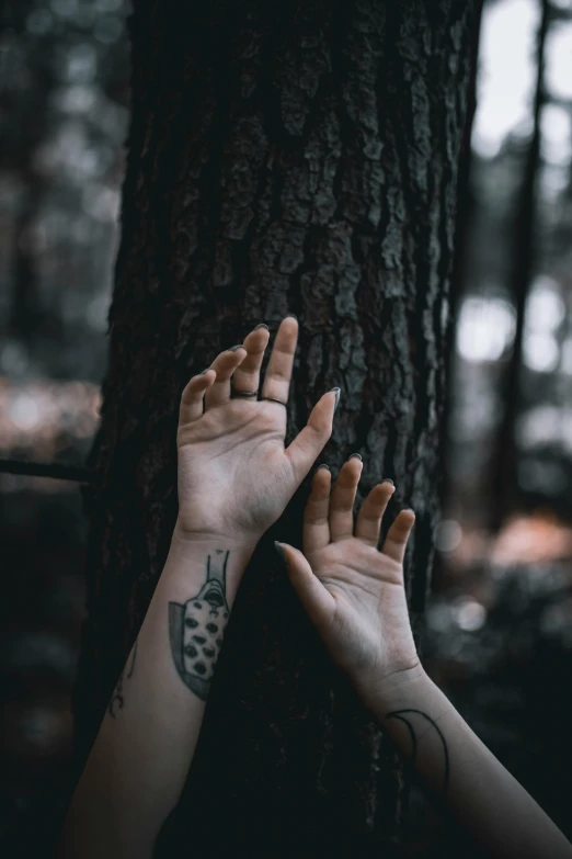 a person holding their hands up against a tree, a tattoo, inspired by Elsa Bleda, trending on pexels, pine wood, looking sad, ink on skin, instagram photo
