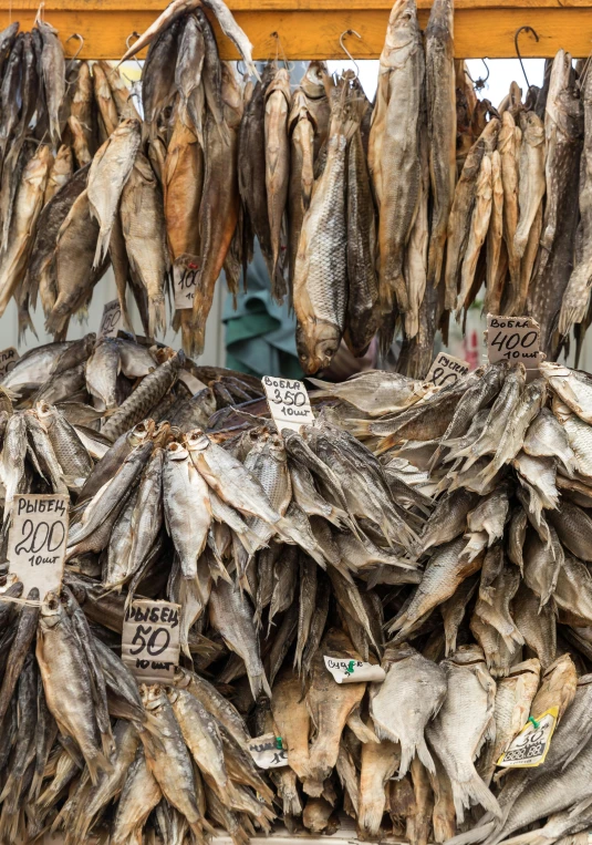 a bunch of dried fish hanging on a wall, by Tom Wänerstrand, trending on unsplash, album cover, 15081959 21121991 01012000 4k, chicken feathers, thumbnail