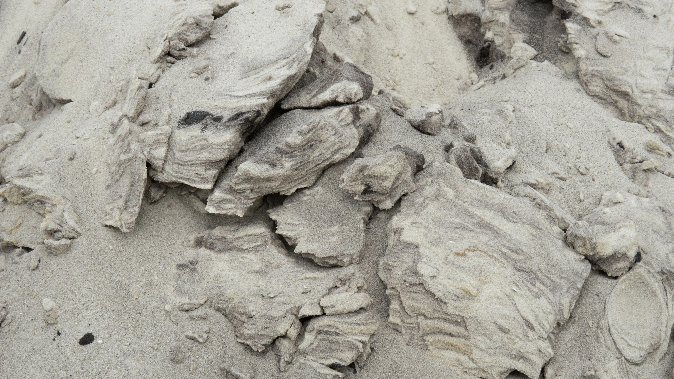 a pile of rocks sitting on top of a sandy beach, an ultrafine detailed painting, unsplash, photorealism, covered in white flour, geological strata, neck zoomed in, epicanthal fold