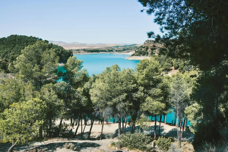 a large body of water surrounded by trees, unsplash, les nabis, arrendajo in avila pinewood, light blue water, 2 5 6 x 2 5 6 pixels, dessert