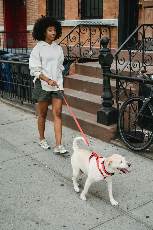 a woman walking a dog on a leash, trending on unsplash, renaissance, schomburg, white and red color scheme, teddy fresh, neighborhood