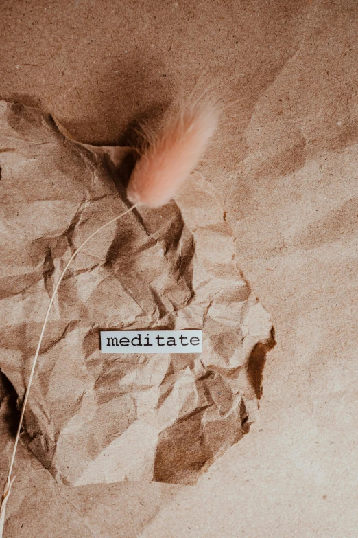 a piece of paper sitting on top of a piece of paper, an album cover, by Maggie Hamilton, trending on pexels, meditation, breathe, background image, label