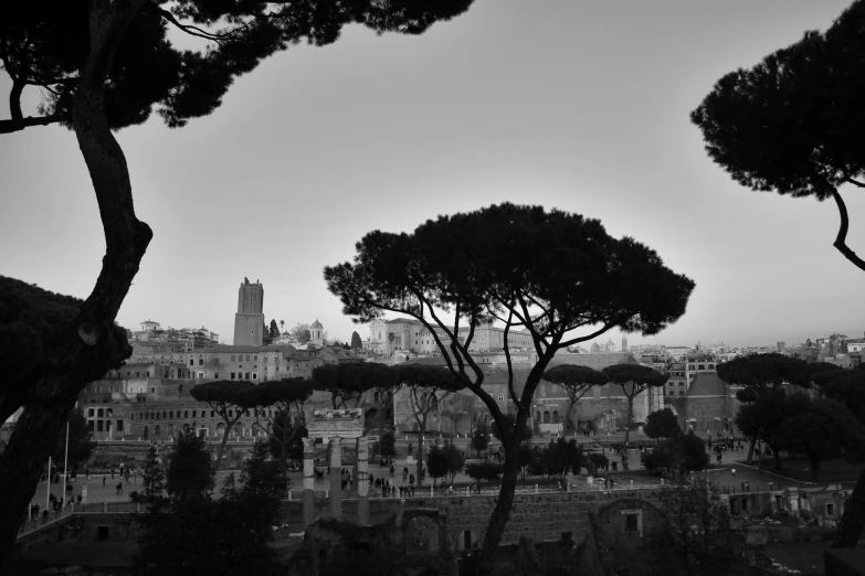 a black and white photo of some trees and buildings, by Giovanni Pelliccioli, pexels contest winner, neoclassicism, rome in background, end of the day, caesar, silhouette!!!