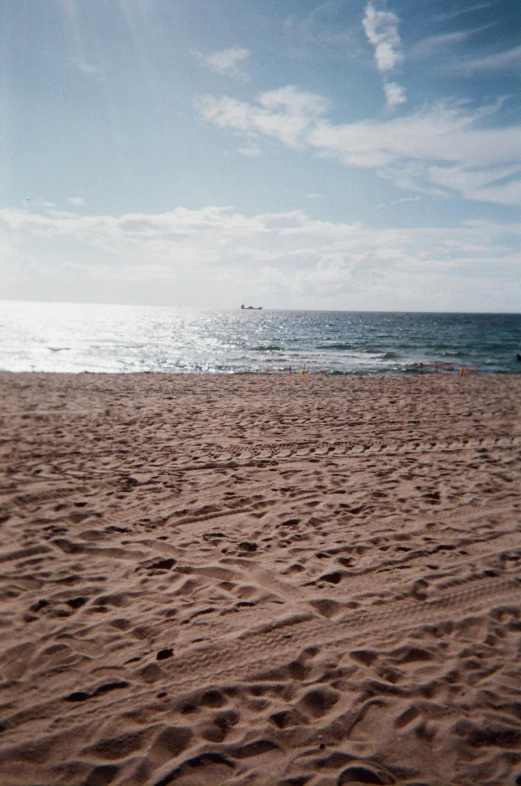 a man standing on top of a sandy beach next to the ocean, manly, taken in the mid 2000s, red sand beach, very grainy