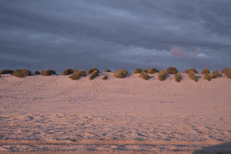 a man flying a kite on top of a sandy beach, an album cover, unsplash, australian tonalism, cotton candy bushes, in a row, erosion algorithm landscape, late evening