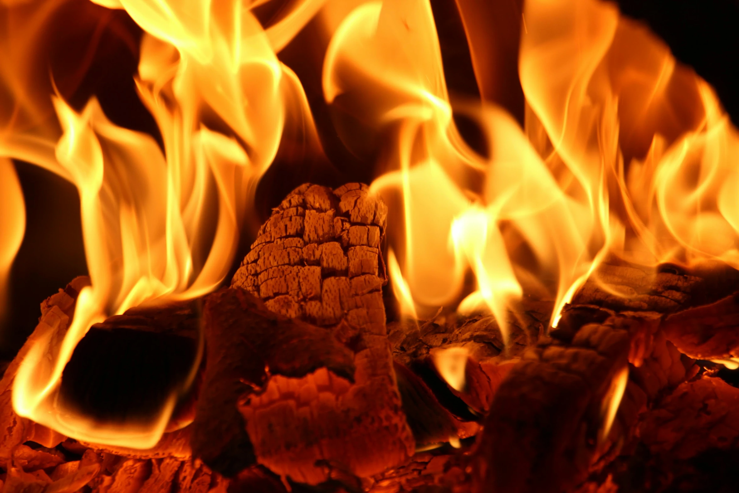 a close up of a fire burning in a fireplace, profile image, thumbnail, close up image, fan favorite