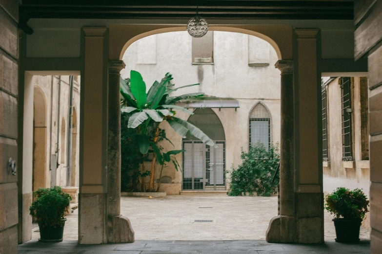 an archway leading to a courtyard with potted plants, a photo, pexels contest winner, palm trees outside the windows, biennale, old library, exterior photo