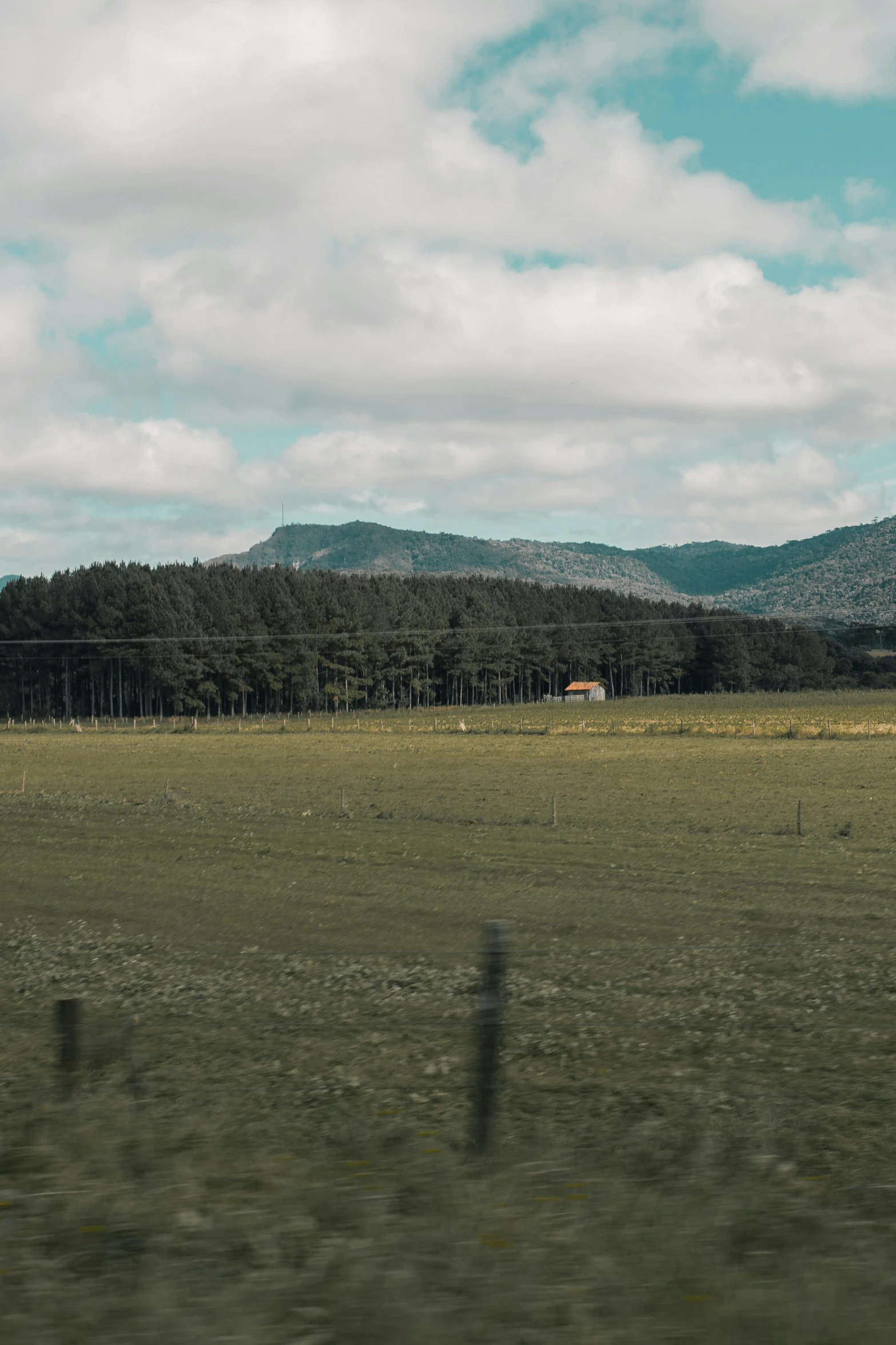 a field of grass with mountains in the background, driving, low quality photograph, distant forest, farm