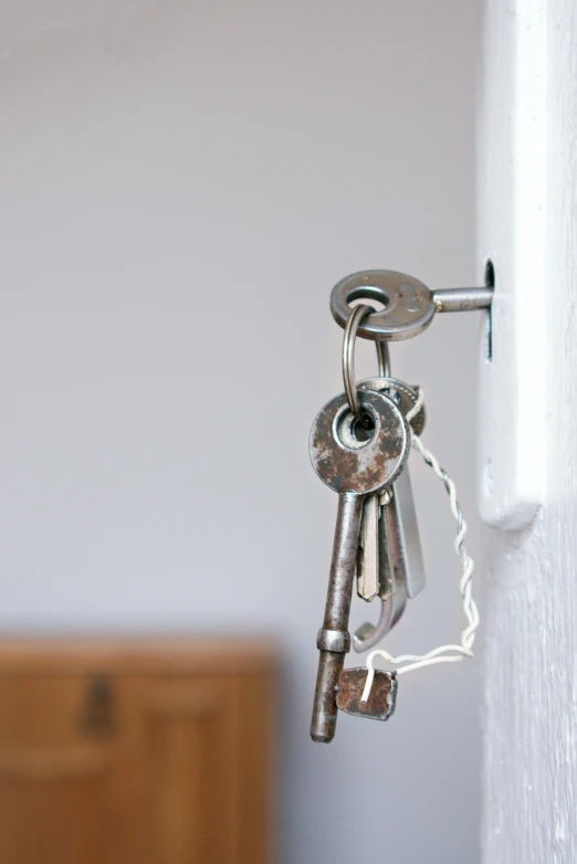 a bunch of keys hanging from the side of a door, inspired by Cerith Wyn Evans, unsplash, hoog detail, cracks, ilustration, cottage close up