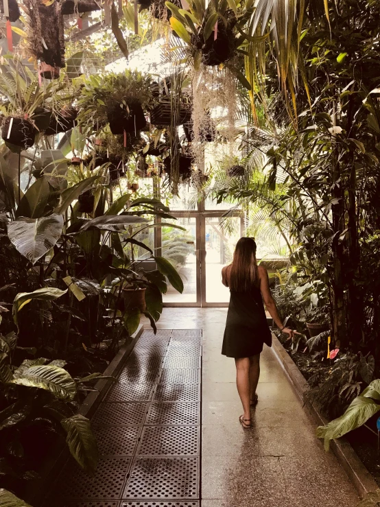 a woman in a black dress walking down a walkway, room full of plants, iphone photo, (tropicalism), all growing inside an enormous