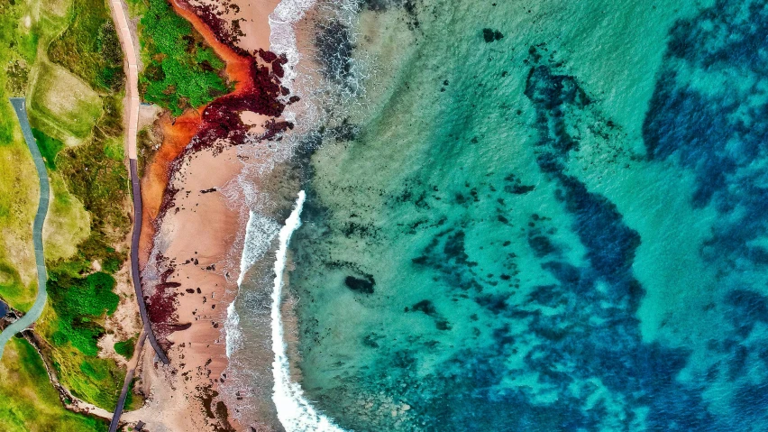 an aerial view of a beach and the ocean, pexels contest winner, process art, brilliantly coloured, profile pic, ocean floor, sarenrae