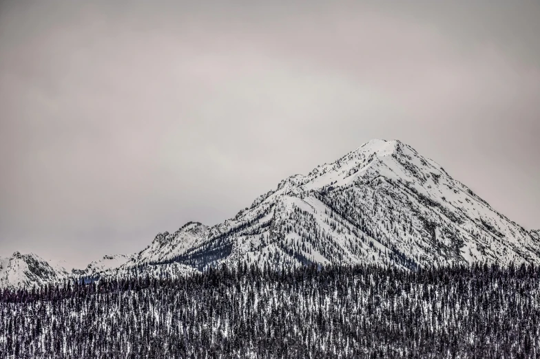 a black and white photo of a snow covered mountain, a picture, unsplash, baroque, british columbia, soft colors mono chromatic, shot on sony a 7 iii, new mexico