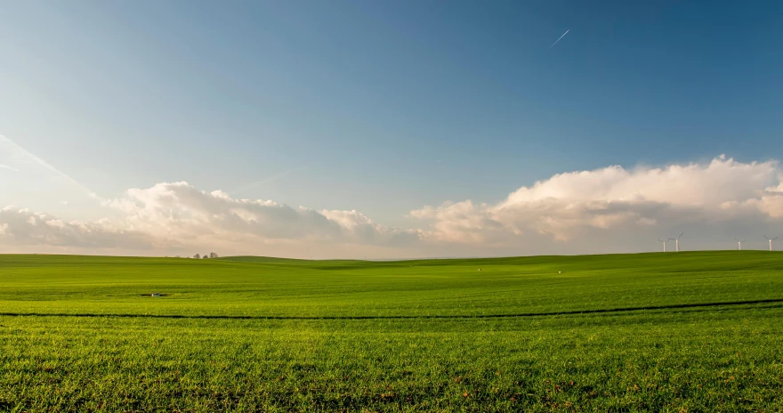 a field of green grass under a blue sky, pexels contest winner, precisionism, horizon forbideen west, seen from afar, late afternoon, farms