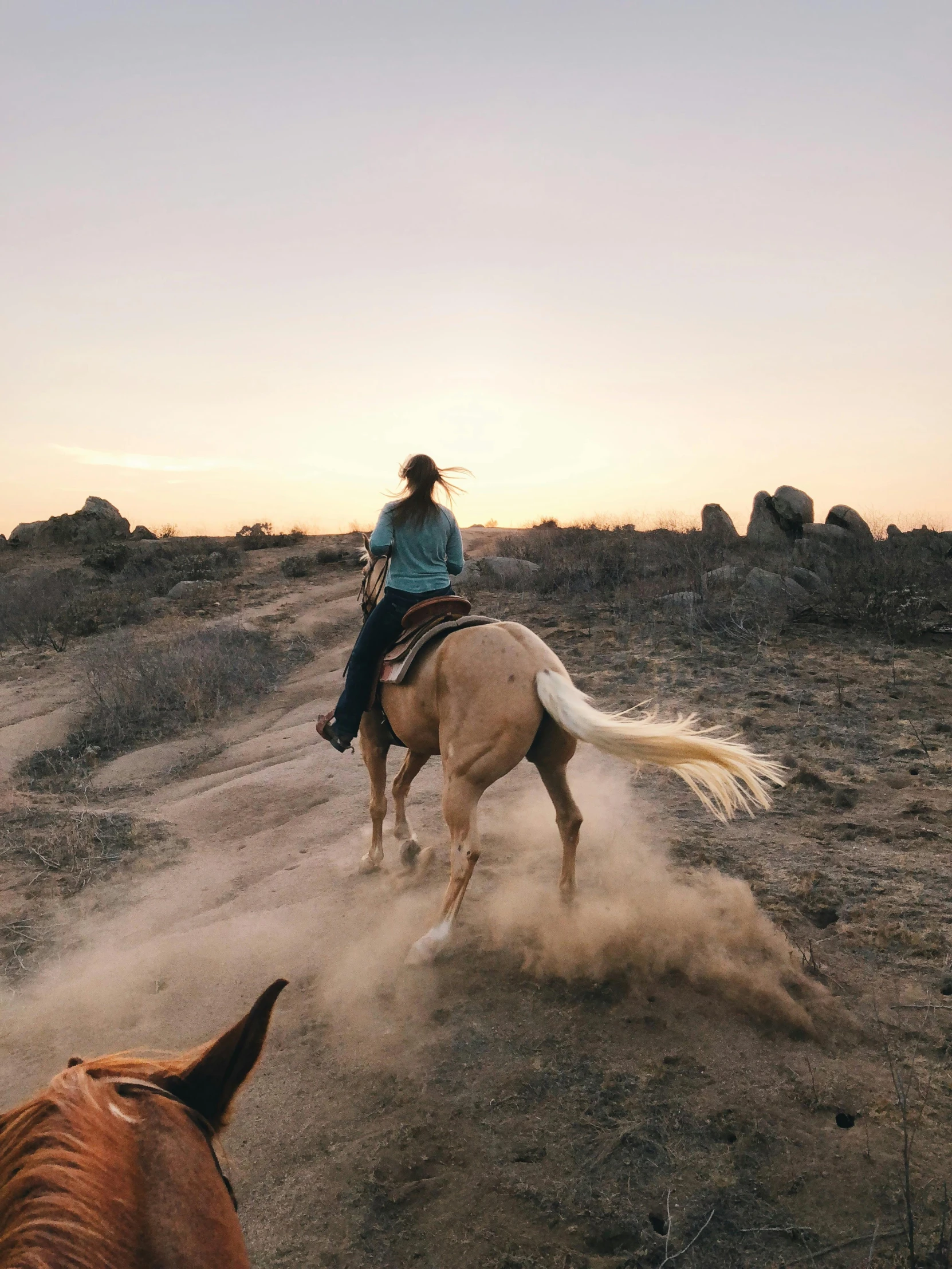 a person riding a horse on a dirt road, in the middle of the desert, in the evening