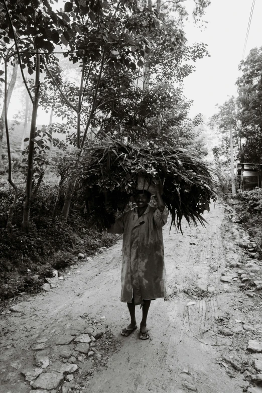 a black and white photo of a woman walking down a dirt road, by Ingrida Kadaka, hurufiyya, big leaves and stems, 1996), carrying a tray, piled around