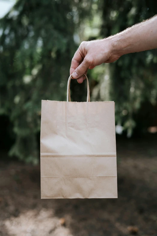 a person holding a paper bag in their hand, pexels contest winner, al fresco, promo image, presenting wares, brown