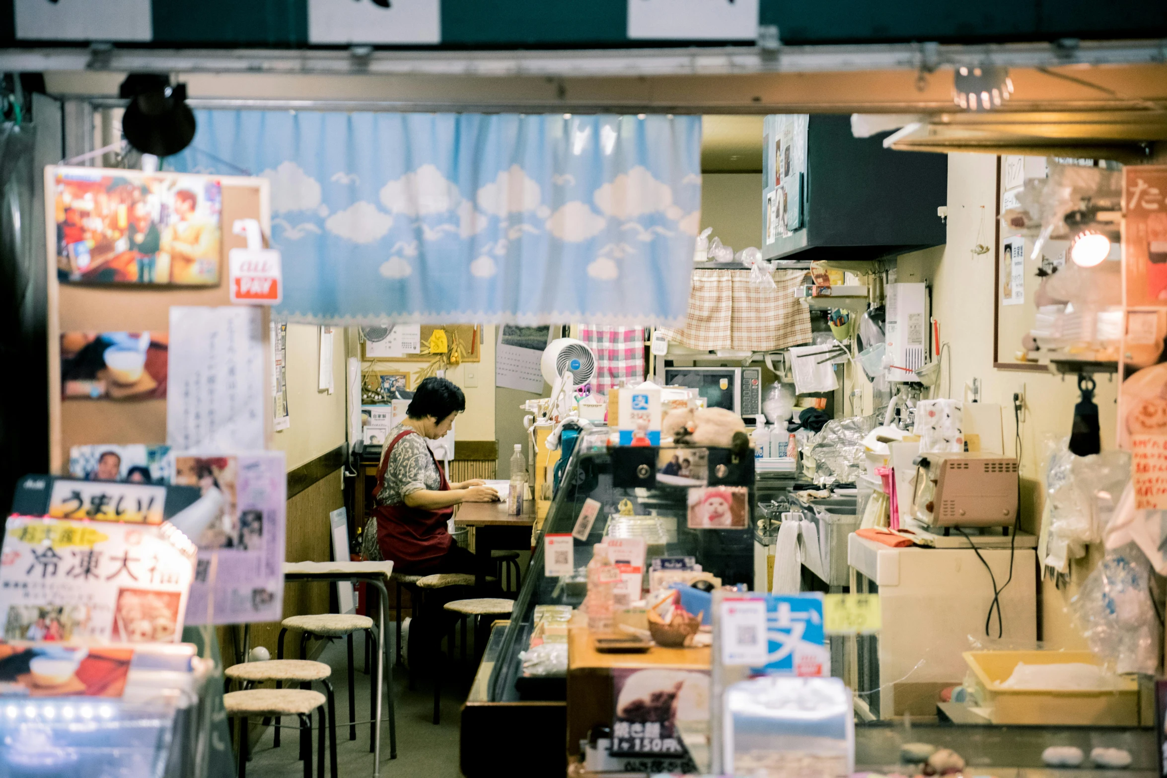 a woman sitting at a table in a restaurant, a silk screen, by Yasushi Sugiyama, trending on unsplash, inside a supermarket, crafts and souvenirs, shibu inu, inside of a tokyo garage