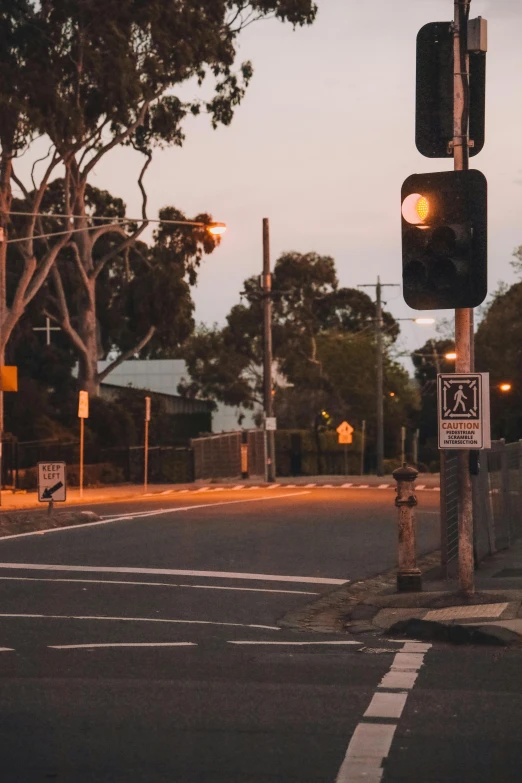 a traffic light sitting on the side of a road, by Lee Loughridge, trending on unsplash, australian tonalism, realistic photo of a town, crosswalk, early evening, brown