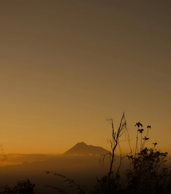 a couple of giraffe standing on top of a lush green field, by Tobias Stimmer, romanticism, at snowy fuji mountain sunrise, silhouette :7, vulcano, :: morning