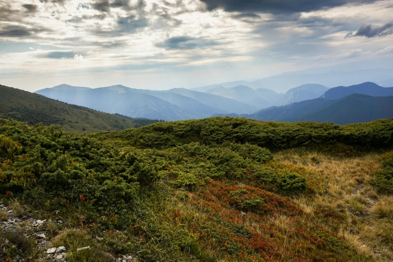 a view of the mountains from the top of a hill, by Alexander Runciman, unsplash contest winner, baroque, wild vegetation, bogna gawrońska, hyperrealistic landscape, murata range