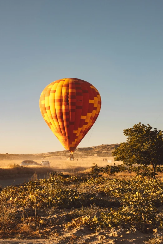 a red and yellow hot air balloon flying over a field, pexels contest winner, arabesque, eucalyptus, hard morning light, canyon, brown