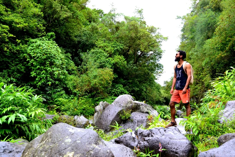 a man standing on rocks in the middle of a forest, samoan features, avatar image