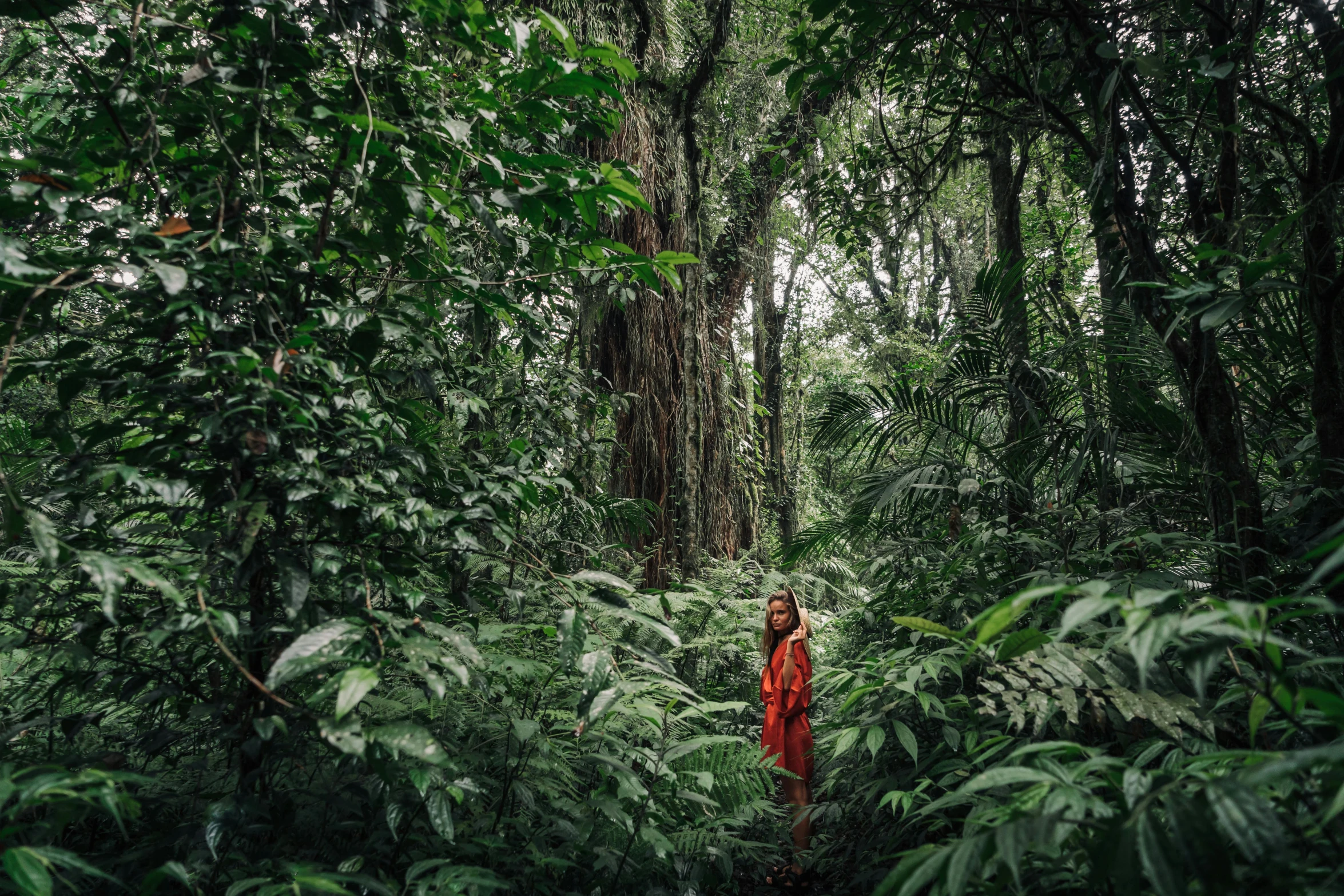 a person standing in the middle of a forest, by Daniel Lieske, sumatraism, wearing red robes, avatar image