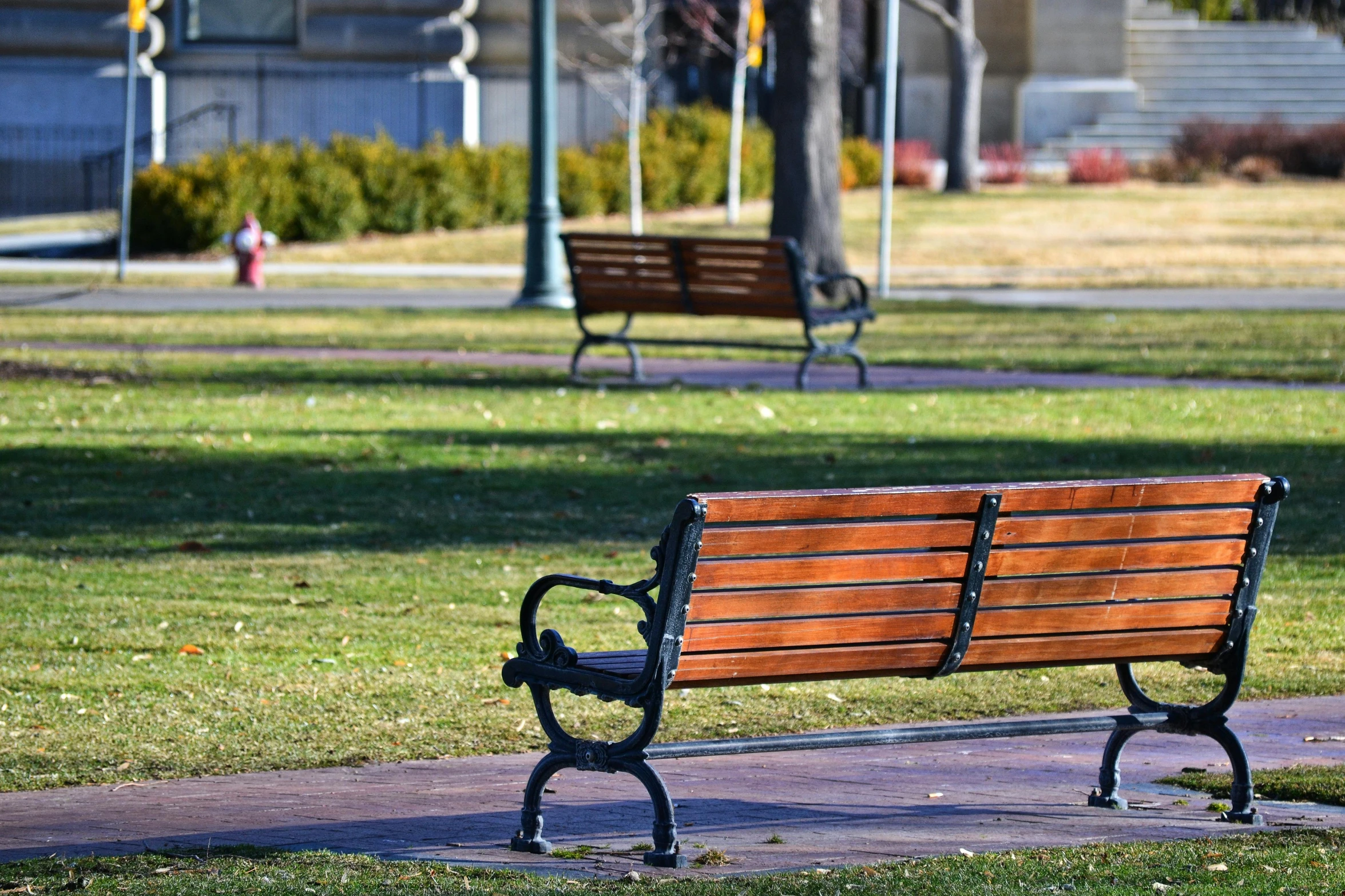 a park bench sitting in the middle of a park, inspired by Washington Allston, town square, rafeal albuquerque, distant photo