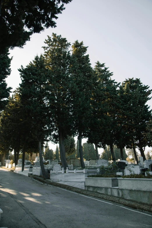 a man riding a skateboard down the side of a road, an album cover, by Carlo Martini, unsplash, renaissance, graveyard tombstones, large trees, panoramic view, sayem reza