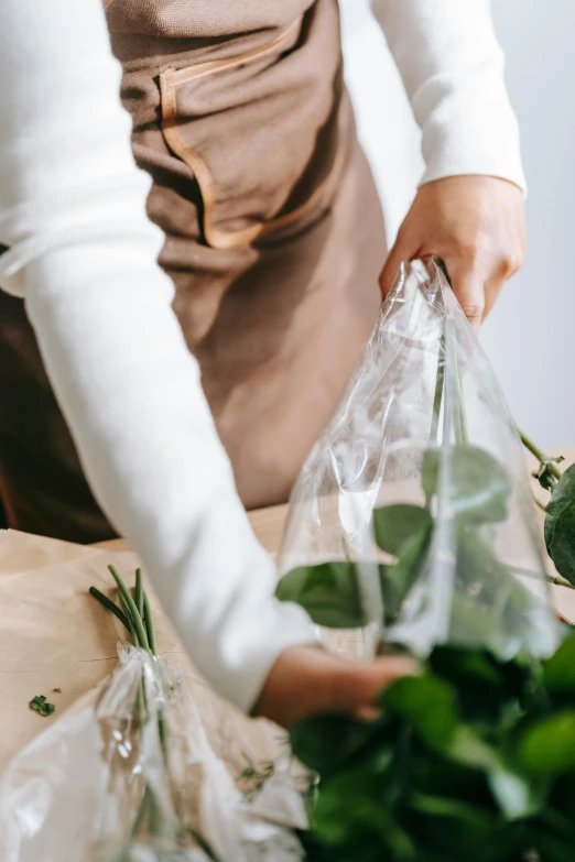 a close up of a person holding a bag of vegetables, flowers, packaging design, transparent, greenery