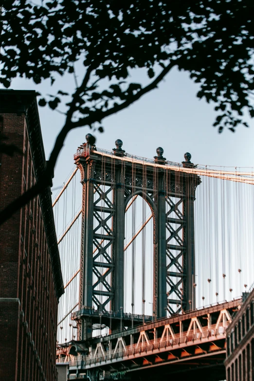 a view of the manhattan bridge from across the street, inspired by Elsa Bleda, unsplash contest winner, renaissance, 🚿🗝📝, tall arches, portrait of tall, view from below