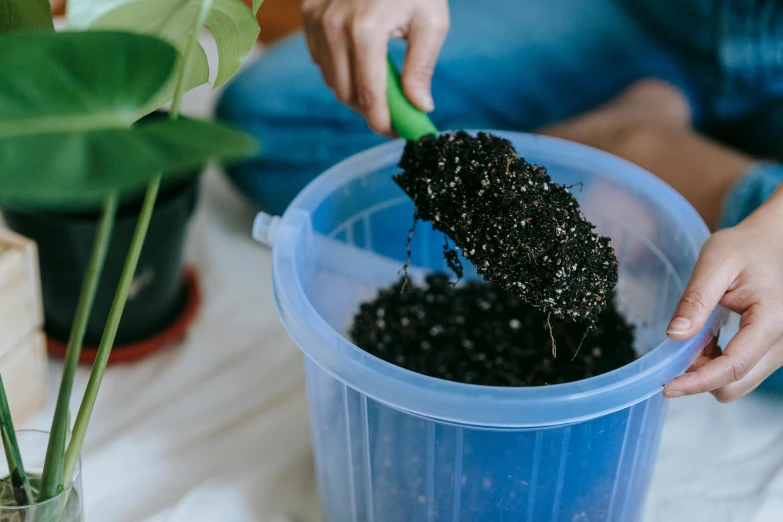 a person scooping dirt into a blue container, pexels contest winner, lush plant growth, black tar particles, at home, avatar image