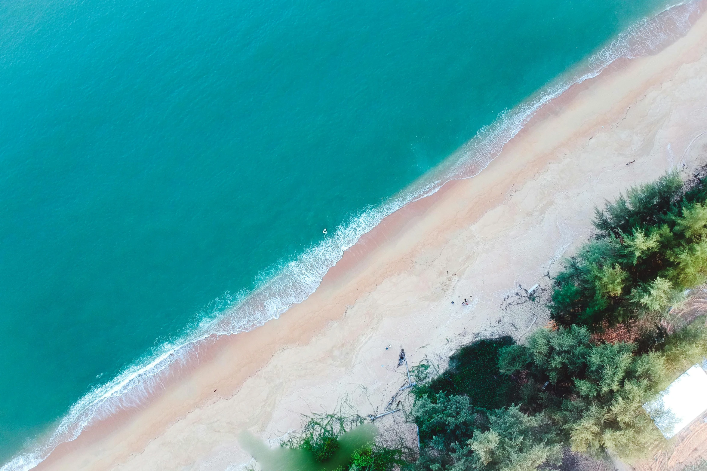 an aerial view of a beach and the ocean, by Julian Allen, pexels contest winner, profile pic, teal tones, “ iron bark, holiday season