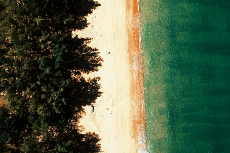 a large body of water next to a sandy beach, by Carey Morris, unsplash contest winner, hurufiyya, manly, copper and emerald, pine trees, bird\'s eye view