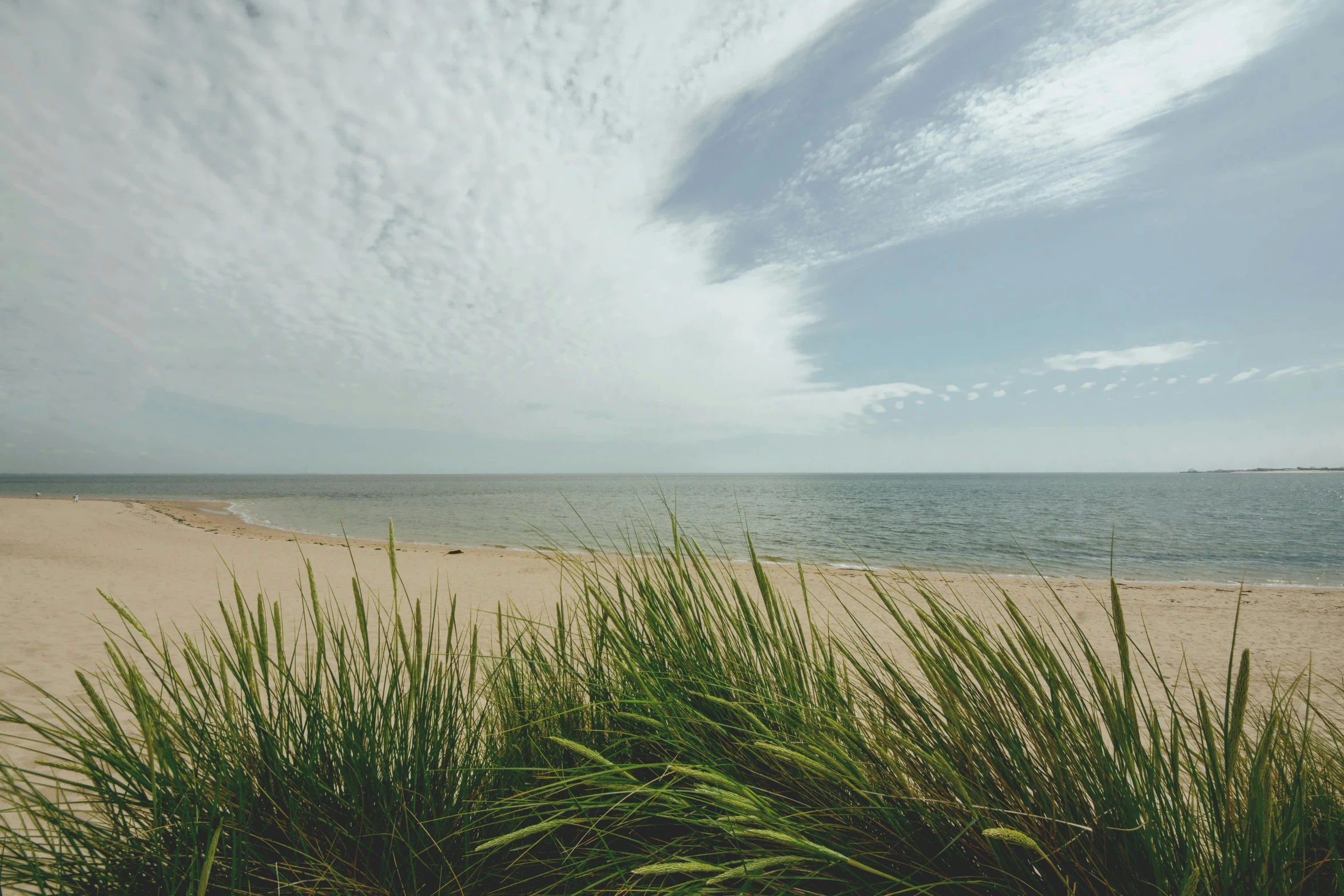 a large body of water next to a sandy beach, by Carey Morris, unsplash, long thick grass, hammershøi, listing image, multiple stories