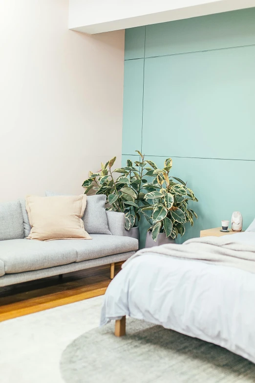 a bed sitting in a bedroom next to a couch, by Liza Donnelly, trending on unsplash, minimalism, large potted plant, pastel blue, panoramic shot, healthcare