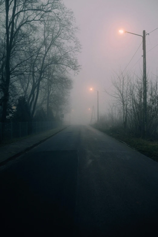 a street light in the middle of a foggy street, an album cover, inspired by Elsa Bleda, pexels contest winner, walking through a suburb, disturbing atmosphere, empty road, 'silent hill '