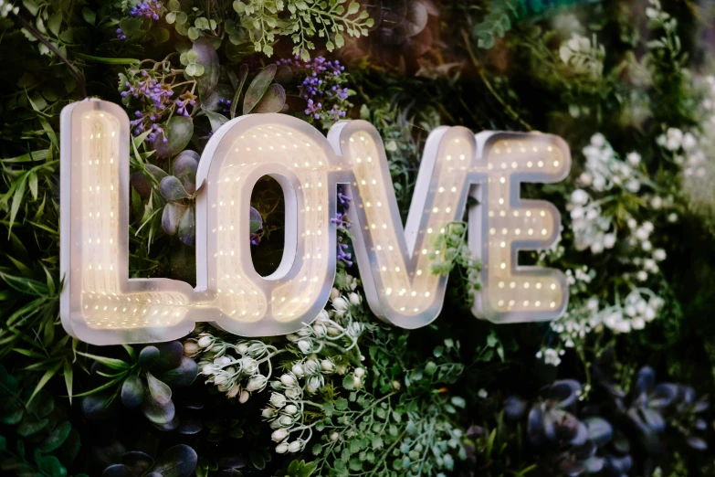 the word love is surrounded by flowers and greenery, by Joe Bowler, neon glow soft bokeh, silver，ivory, medium close up, marquee