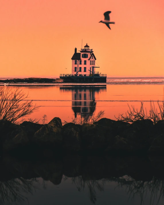 a bird flying over a body of water, a picture, by Jacob Burck, unsplash contest winner, hudson river school, light house, orange hue, spring evening, instagram story