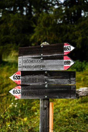 a wooden sign sitting in the middle of a field, by Jesper Knudsen, directions, lots of signs, trekking in a forest, high-quality photo