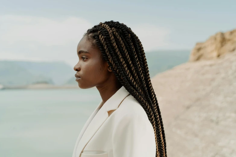 a woman standing in front of a body of water, trending on pexels, hyperrealism, box braids, girl in suit, ivory and ebony, girl standing on mountain