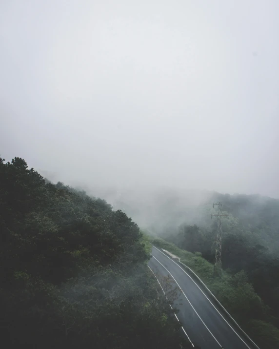 a road surrounded by trees on a foggy day, looking down a cliff, foggy rainy day, chillhop, gray sky