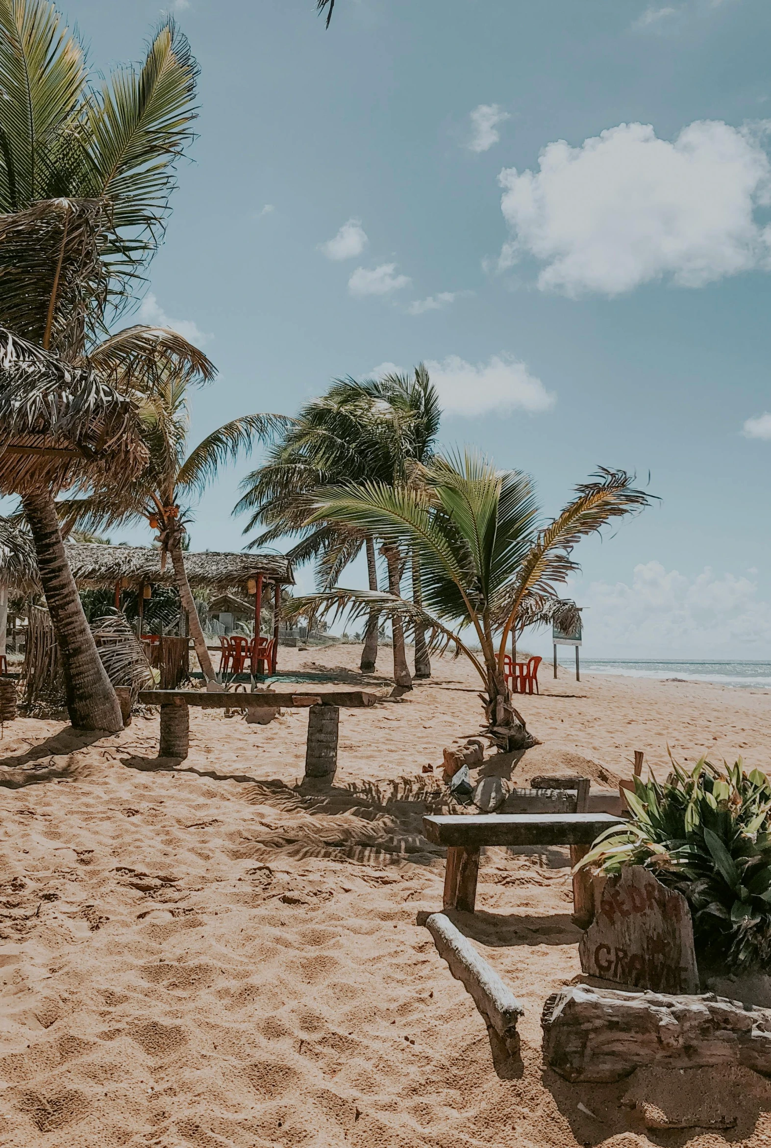 a couple of benches sitting on top of a sandy beach, palmtrees, huts, flatlay, restaurant